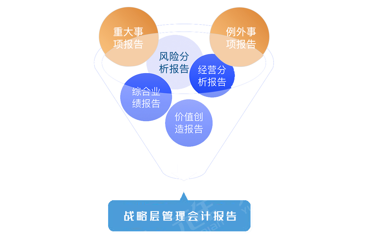 战略层管理会计报告