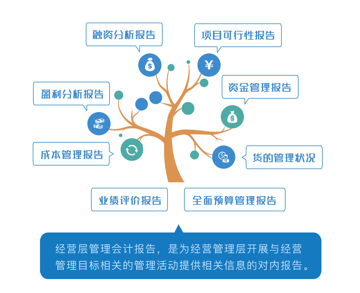 经营层管理会计报告